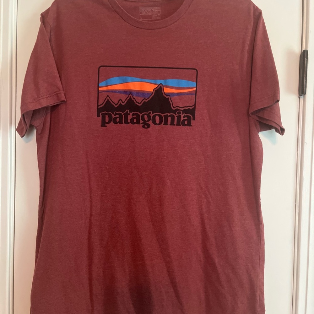 Patagonia Men's Red Graphic T-Shirt
